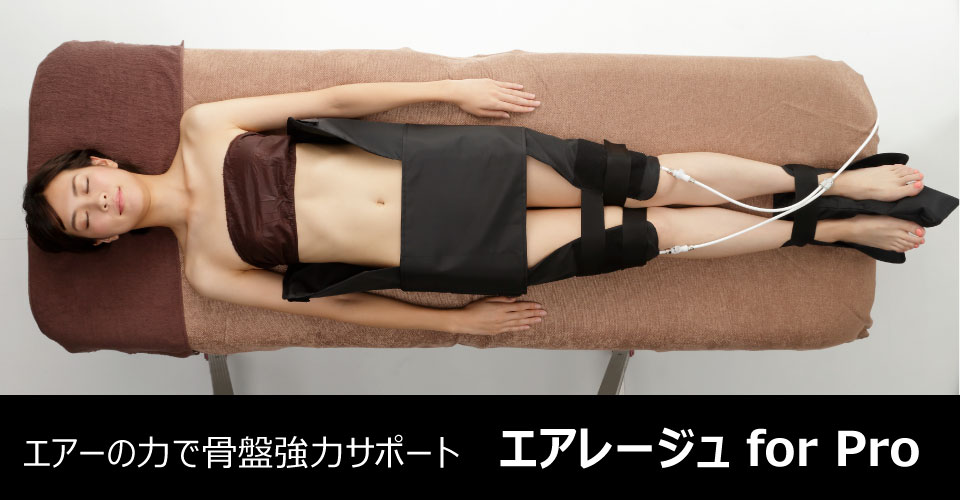 エアレージュ for Pro