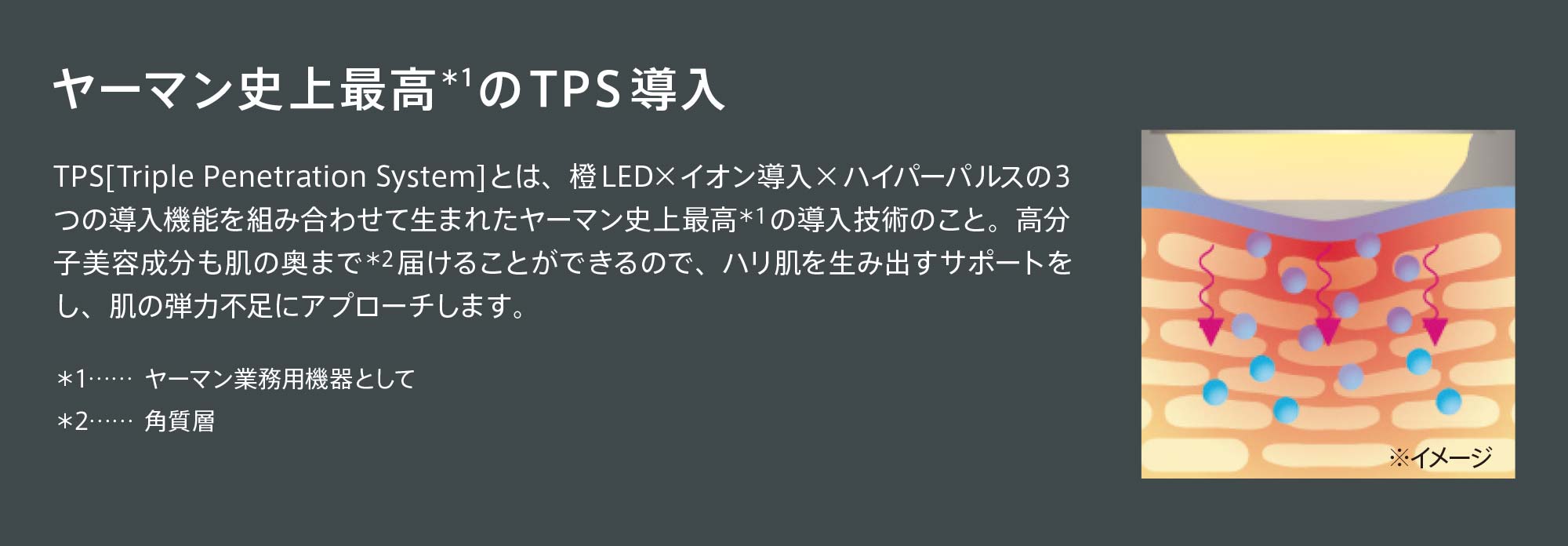 史上最高のTPS導入