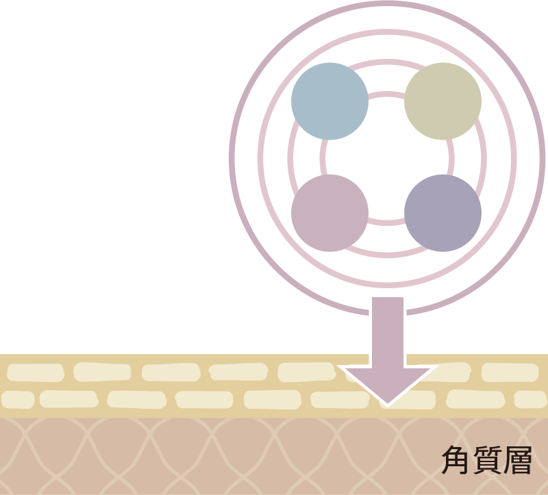 ダーマ4Dカプセル